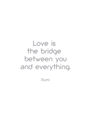 Love is  the bridge  between you and everything.  Rumi